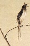 清 华喦 纸本设色《蔷薇山鸟图》北京故宫博物院藏