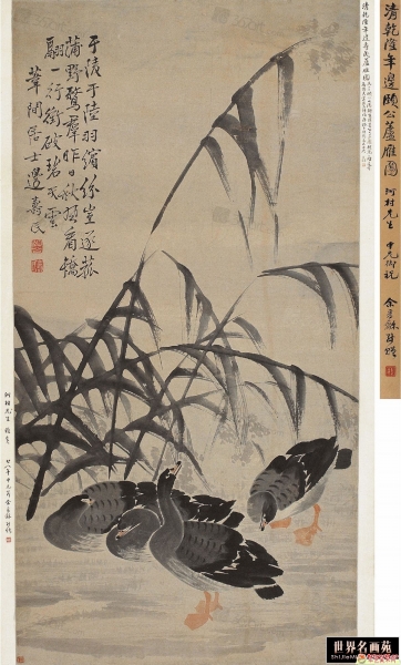 边寿民(1684～1752)芦雁图