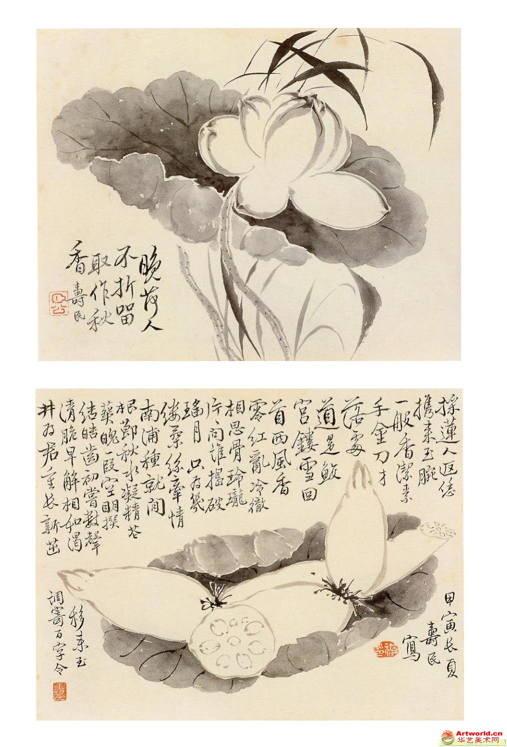 清代边寿民花卉动物图集_华艺美术网