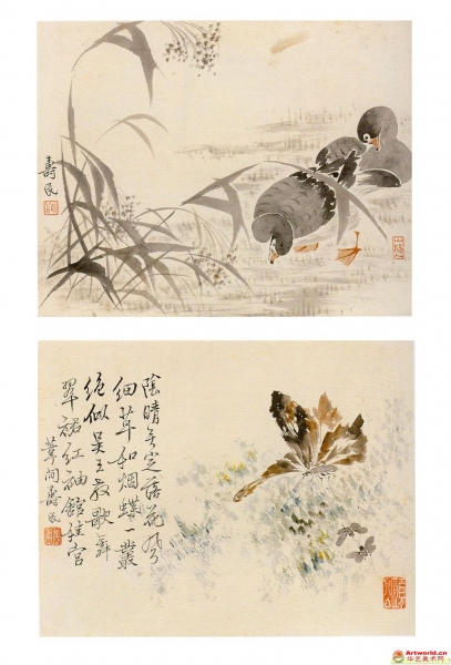 边寿民(1684-1752) 花卉动物合4