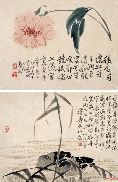 边寿民(1684-1752) 花卉动物合5