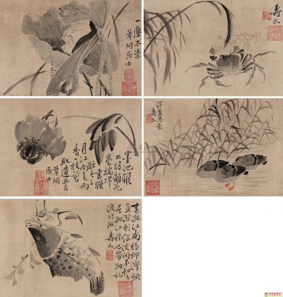 边寿民(1684-1752) 花卉动物合6