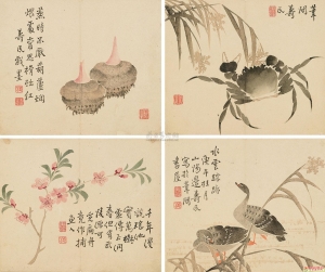 边寿民(1684-1752) 花卉动物合7