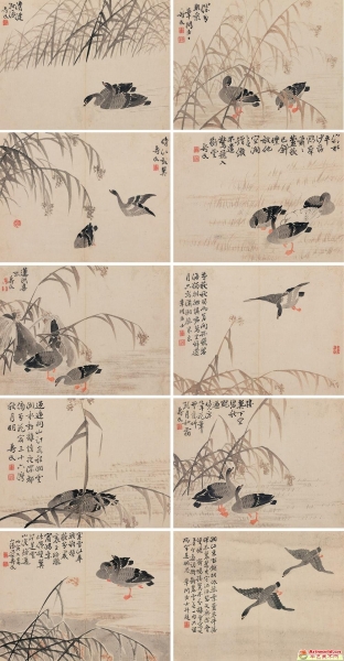 边寿民(1684-1752) 花卉动物合8