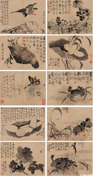 边寿民(1684-1752) 花卉动物合9
