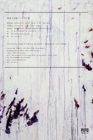 王川个展：逍遥与边缘