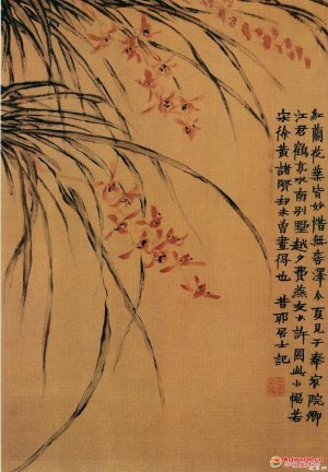 清代 金农《红兰花图》