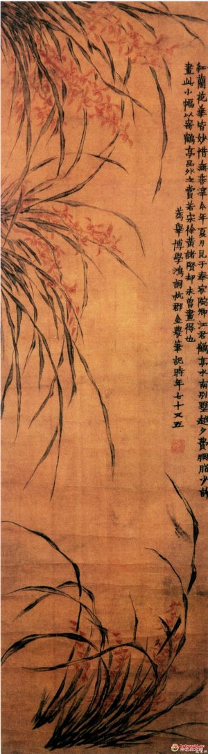 清 金农《兰花图》