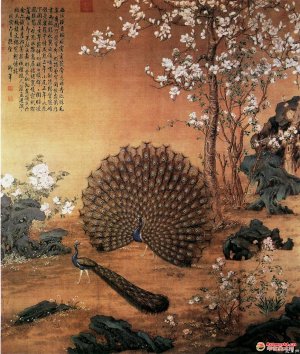 清 郎世宁《孔雀开屏图》