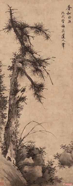明 沈周《苍松片石图》