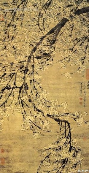 明.陈淳《万玉图》