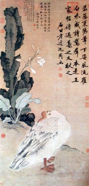 沈周《花下睡鹅》