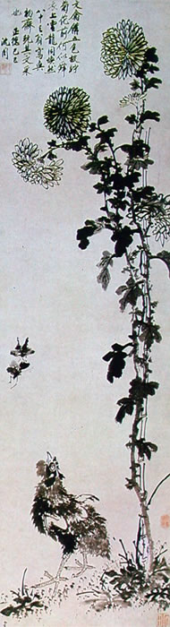沈周 《菊花文禽图》