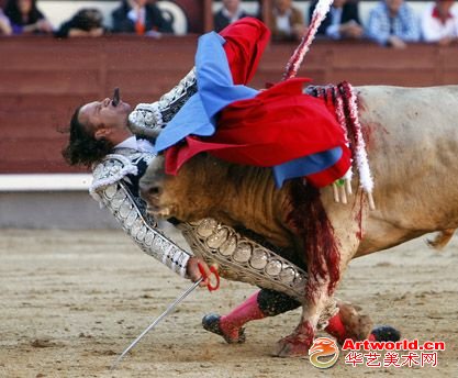 体育类：二等奖 单幅  Gustavo Cuevas，西班牙  马德里，斗牛士Julio Aparicio在斗牛中受伤