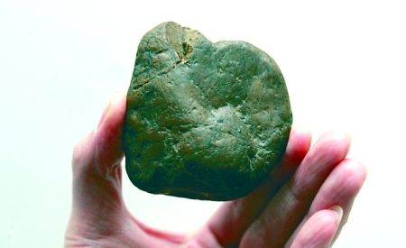 “狗黄金”价值50万，为何狗结石价值不菲？