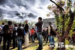 艺术生态联展：草场地摄影季