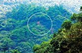《富春山居图》成两岸文化纽带