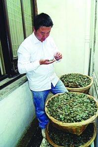 苏州工地挖出4吨重北宋古币