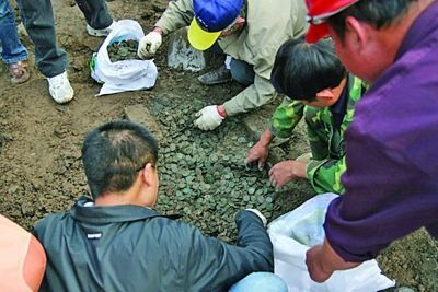 市民状告博物馆占有其祖宅地下古钱币