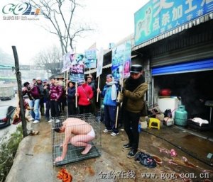 行为艺术家钻狗笼抗议冬至吃狗 曾跪虎跪蛇跪鸡