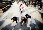 狗链拴着3男人游街 行为艺术家称宣传尊重女性