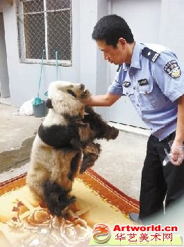 警方查获的熊猫标本 