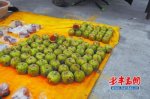 文玩核桃青岛走红：两个核桃叫价上万元