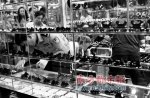 义乌商城5天内再遭大盗损失玉器百万元