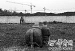 建筑垃圾埋了明王陵