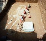 1300年前唐朝宫女墓地现西安