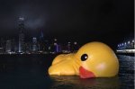 香港小黄鸭多处破损漏气 韩寒调侃禽流感太可怕