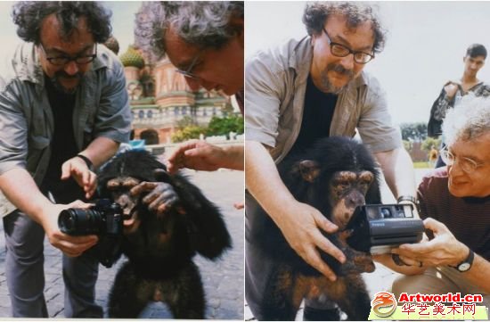黑猩猩的摄影作品登苏富比拍场：估价达10万