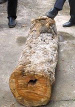 云浮4.6米黄花梨木拍卖出28万元天价