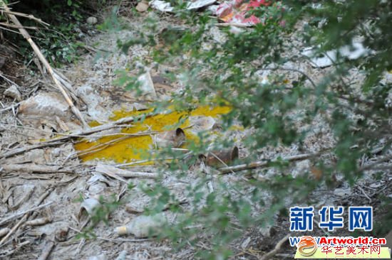 阜新蒙古族自治县那力闪村的一条河道里还残留着当地加工厂倾倒的染色用料（6月24日摄）。新华社记者潘昱龙摄