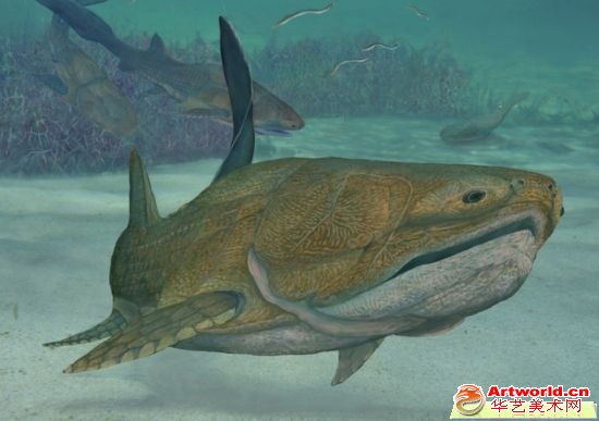 距今约4.2亿年的全颌鱼(图片来自于Nature网站文章)